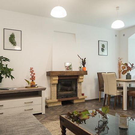 Apartment Schiller 3 布拉索夫 外观 照片