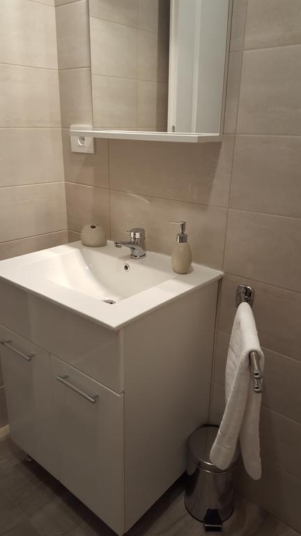 Apartment Schiller 3 布拉索夫 外观 照片