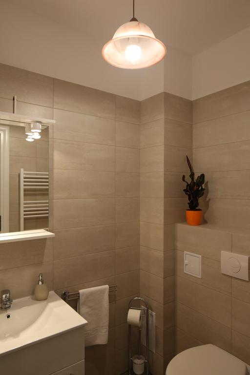 Apartment Schiller 3 布拉索夫 外观 照片