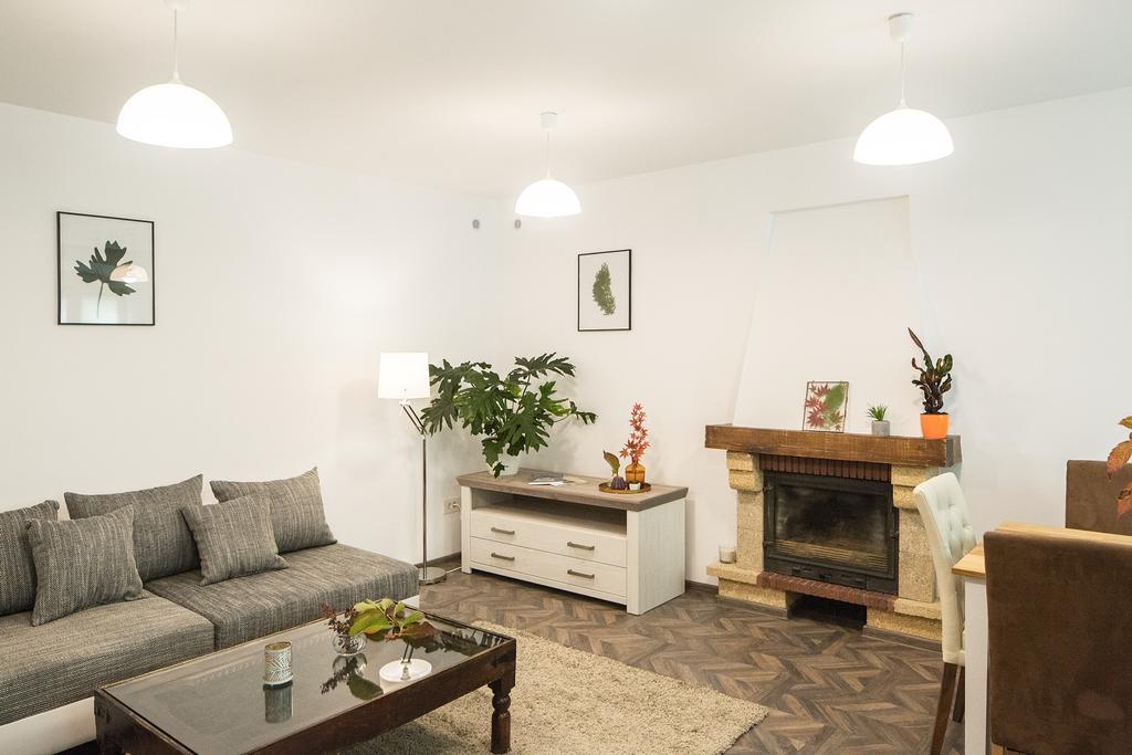 Apartment Schiller 3 布拉索夫 外观 照片
